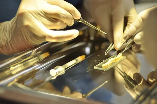 Общей хирургии им. А.И. Кожевникова