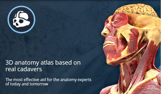 Тестовый доступ к 3D-атласу cadaVR Anatomy компании Mozaik Education