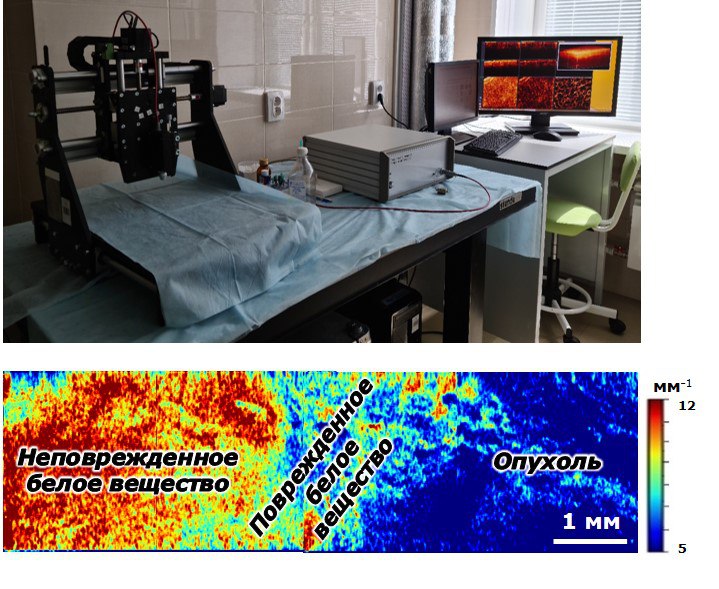 Подготовка кандидатской диссертации аспирантки ПИМУ отмечена благодарностью Высшей аттестационной комиссии Минобрнауки России