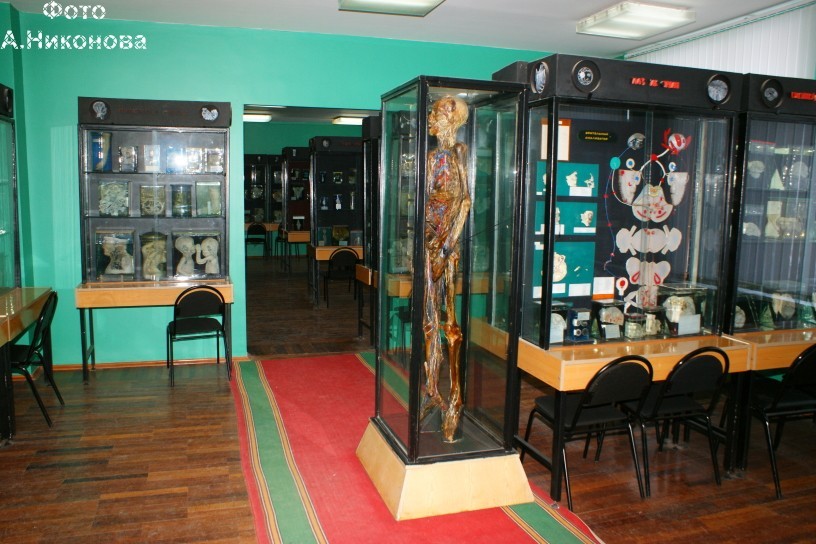 Клинической анатомии и оперативной хирургии