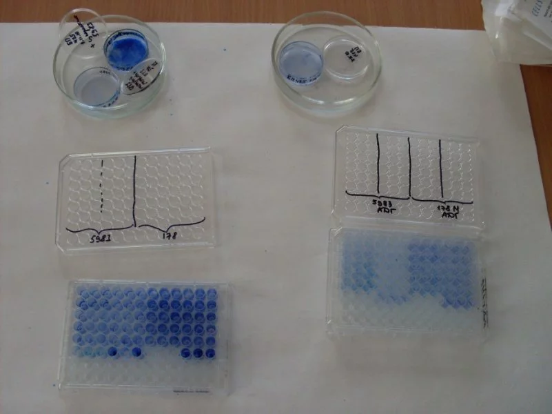 Эпидемиологии, микробиологии и доказательной медицины