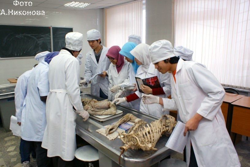 Клинической анатомии и оперативной хирургии