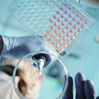 Биотехнологии и функциональные материалы для медицины и смежных отраслей