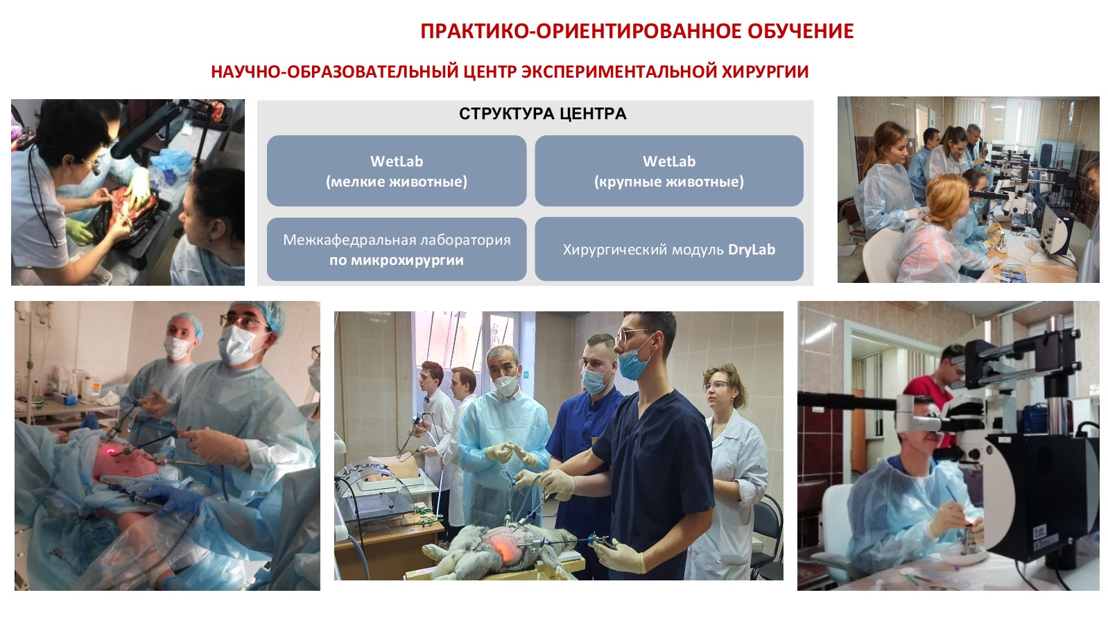 Снимок экрана 2024-03-14 092304.jpg Снимок экрана 2024-03-14 092304.jpg